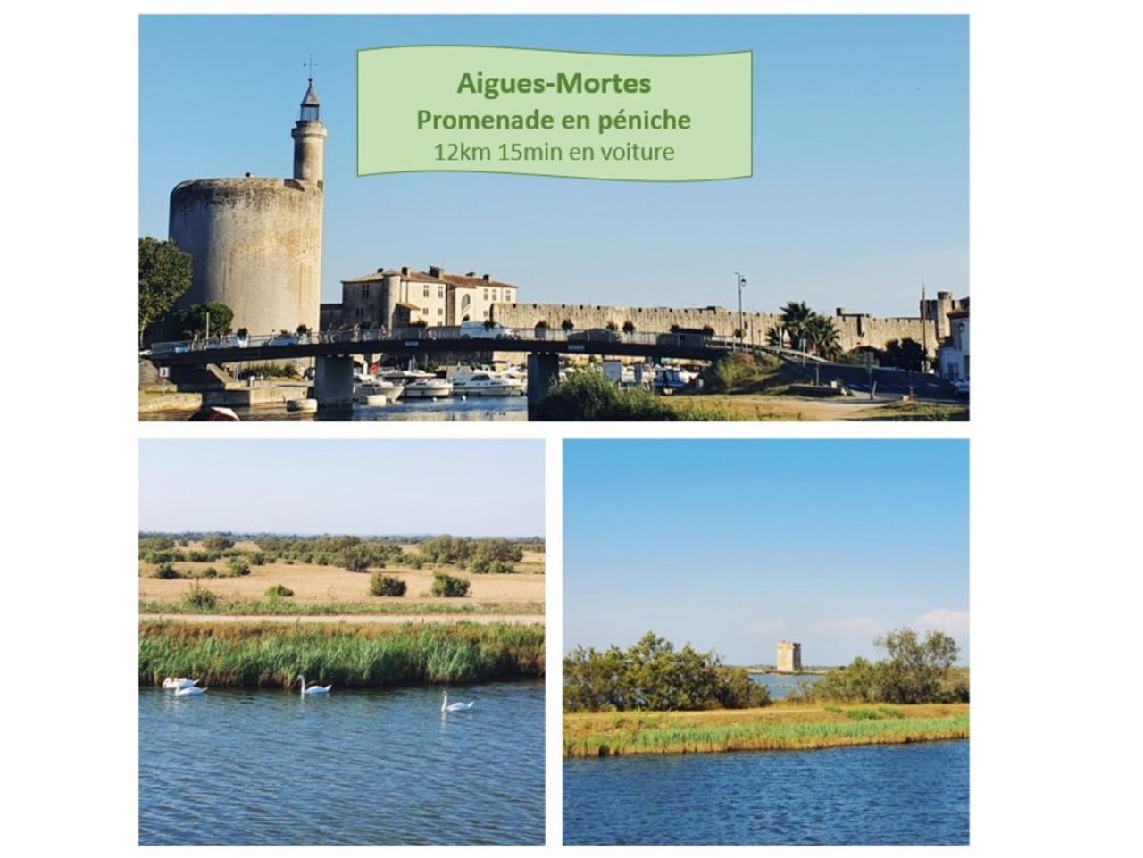 T2 Traversant Familial Cap Sud Parking Plages - Rossiconciergerie - Linge En Option 라그랑모트 외부 사진